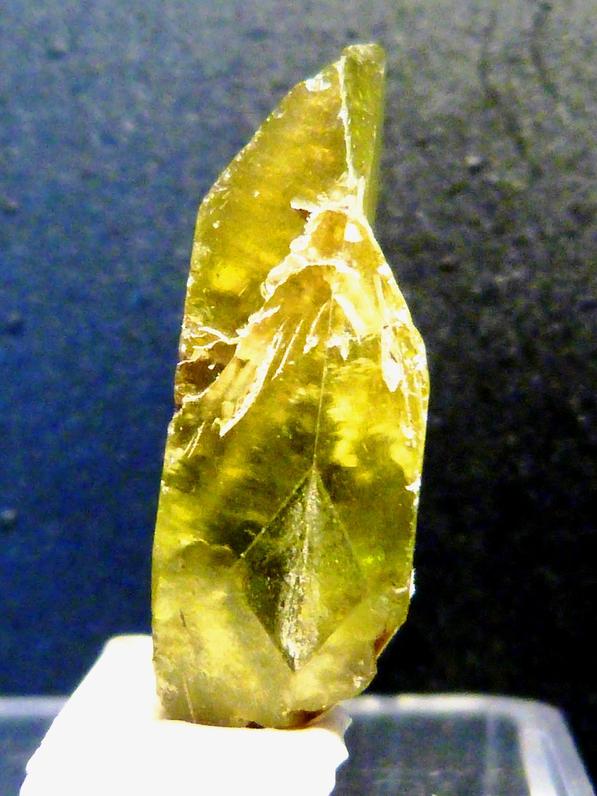 Titanita
1 x 2,5 x 0,8 cm.
(Autor: Felipe Abolafia)