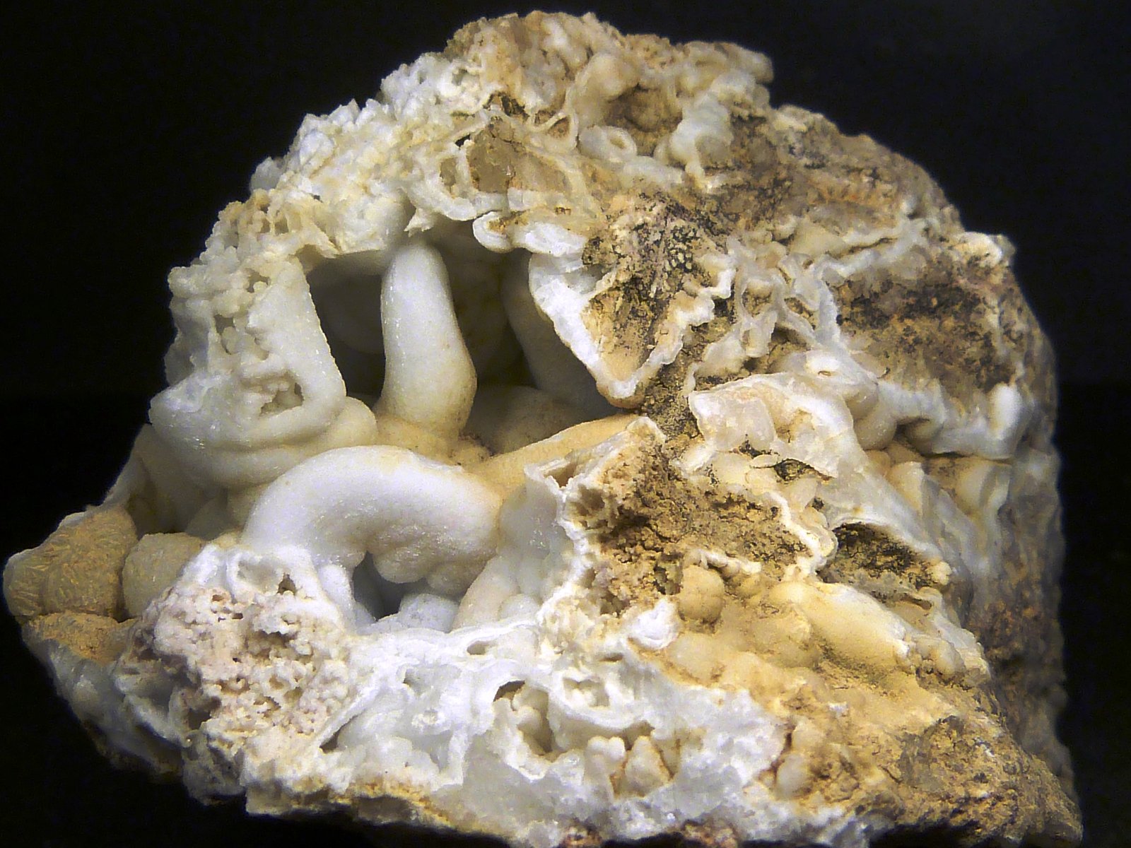 Celestina
6 x 7 x 6 cm.
(Autor: Felipe Abolafia)