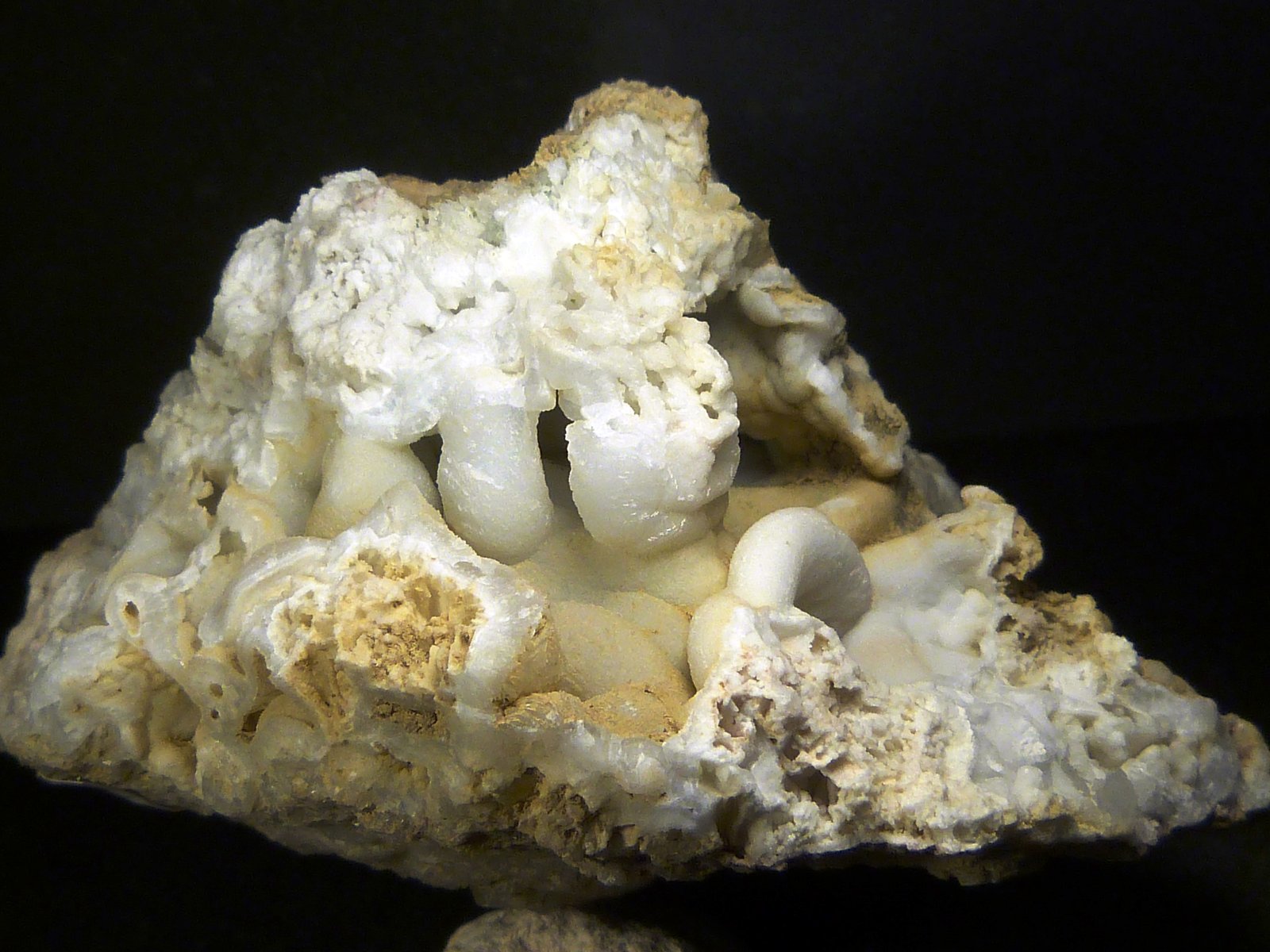 Celestina
6 x 7 x 6 cm.
(Autor: Felipe Abolafia)