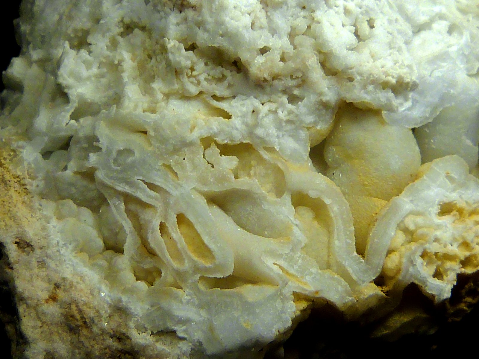 Celestina
6 x 7 x 6 cm.
(Autor: Felipe Abolafia)