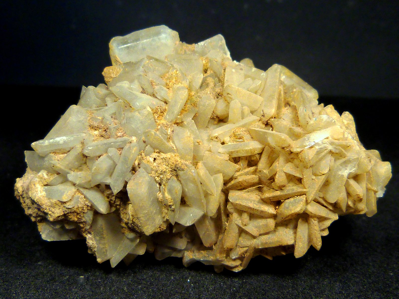 Celestina
7 x 4 x 3,5 cm.
(Autor: Felipe Abolafia)