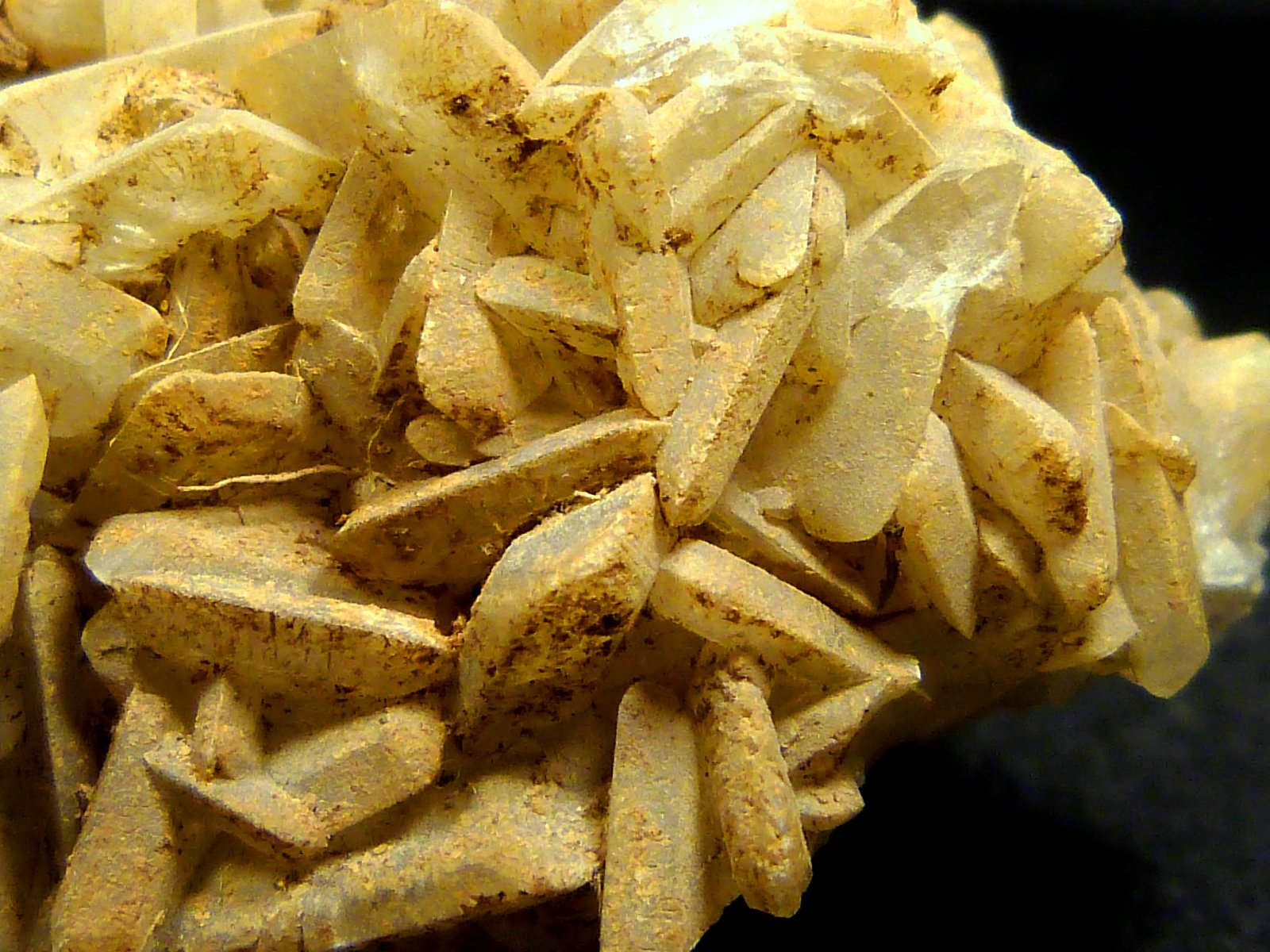 Celestina
7 x 4 x 3,5 cm.
(Autor: Felipe Abolafia)