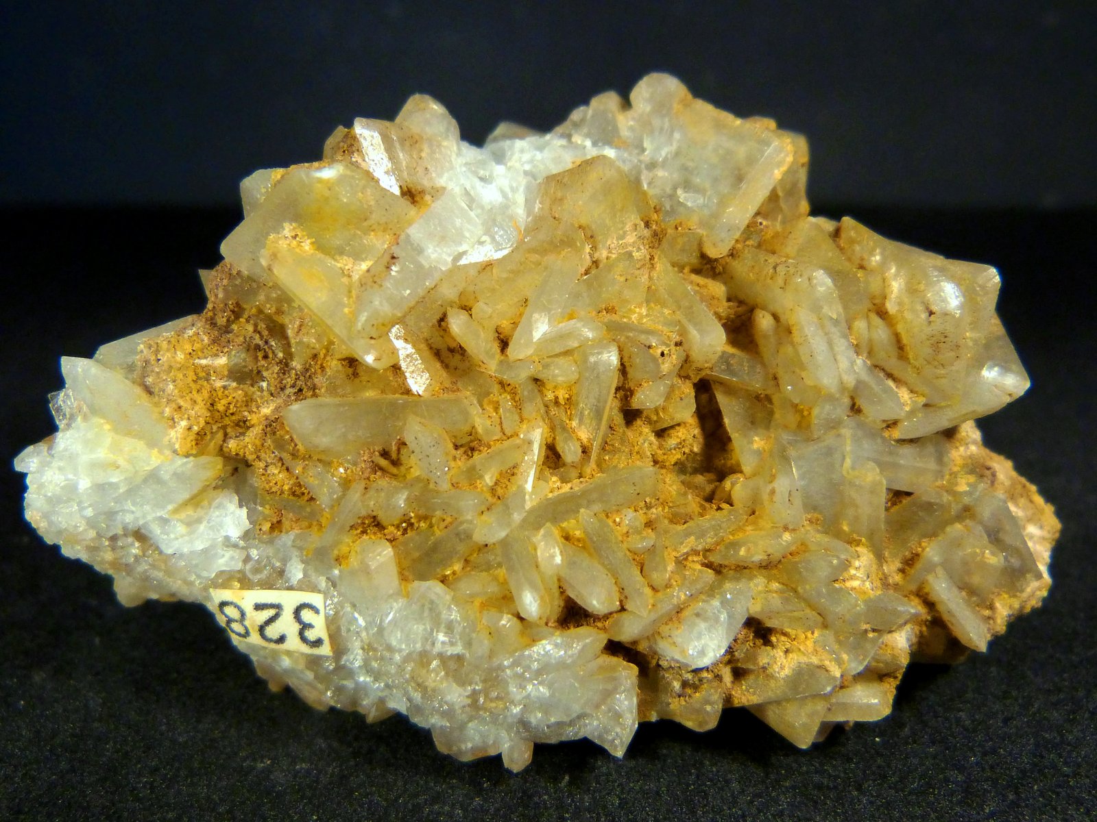 Celestina
7 x 4 x 3,5 cm.
(Autor: Felipe Abolafia)