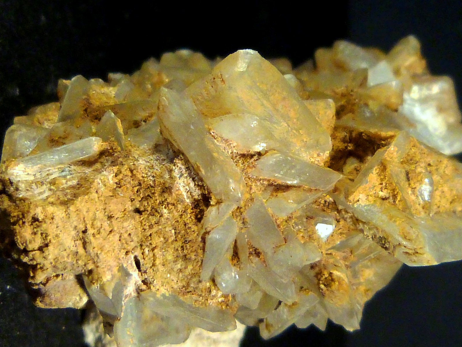 Celestina
7 x 4 x 3,5 cm.
(Autor: Felipe Abolafia)