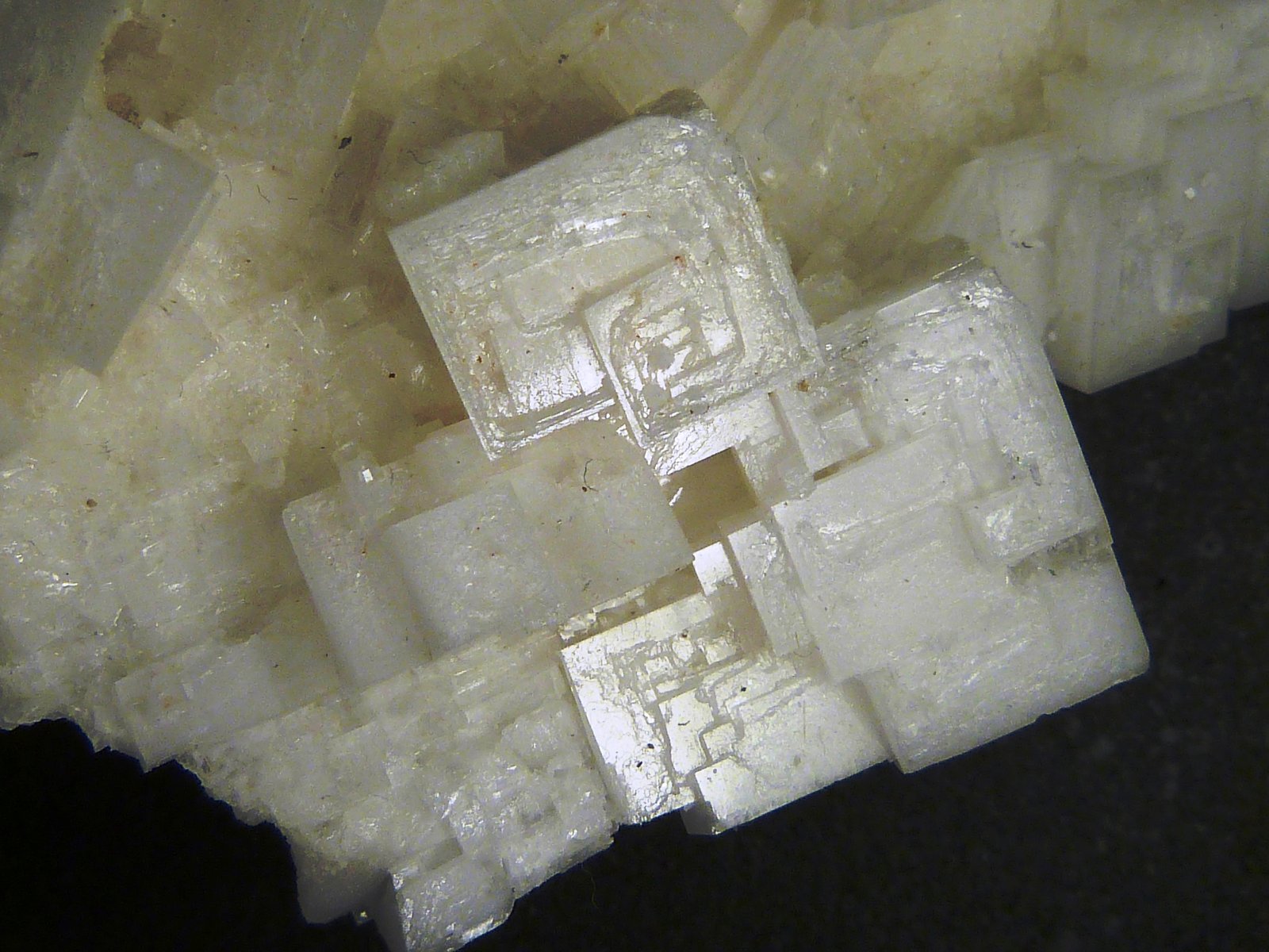 Halita
7 x 8,5 x 3 cm.
(Autor: Felipe Abolafia)