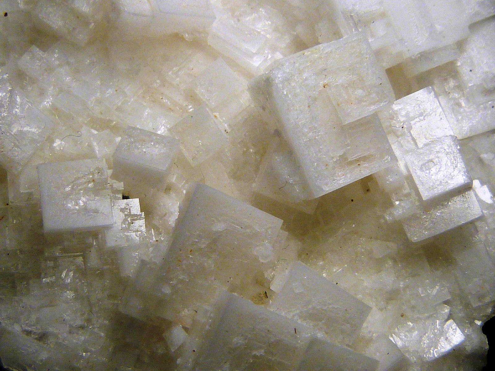 Halita
7 x 8,5 x 3 cm.
(Autor: Felipe Abolafia)