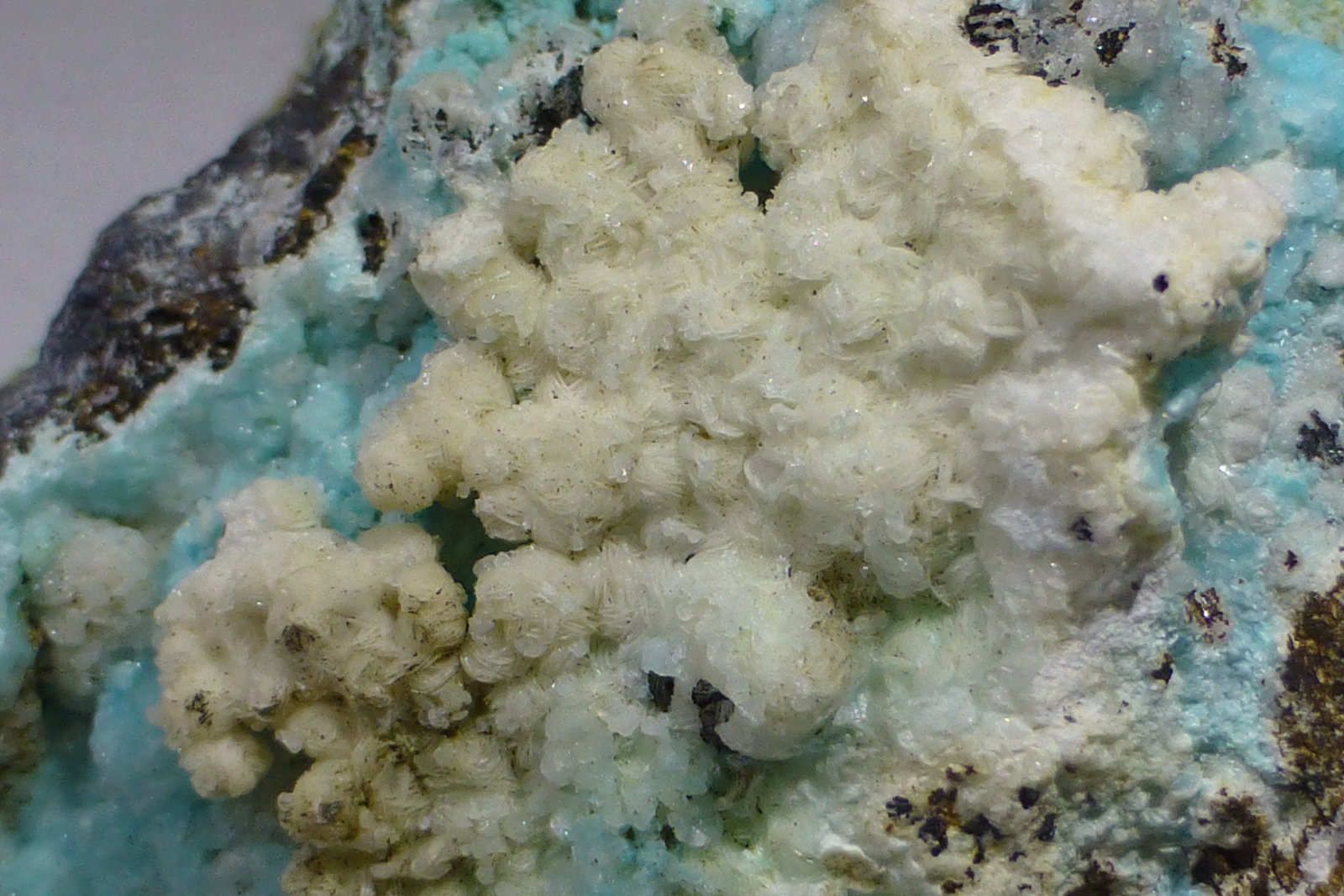 Auricalcita y Smithsonita
Encuadre 3x2cm aprox.
(Autor: heat00)