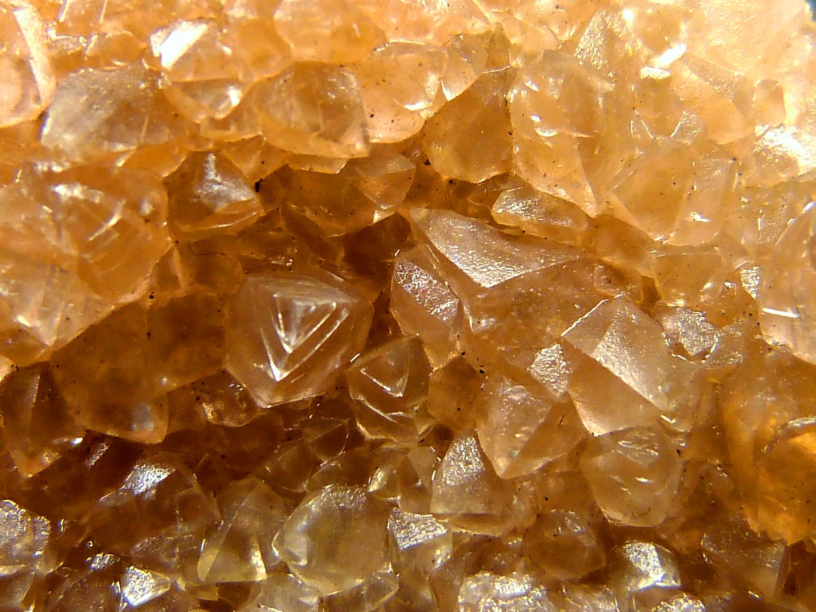 Smithsonita
5 x 3 x 1,5 cm.
(Autor: Felipe Abolafia)