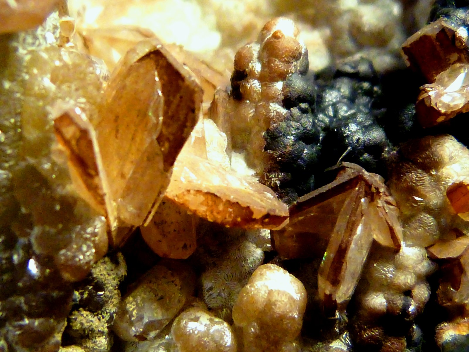 Smithsonita
7 x 6,5 x 10 cm.
(Autor: Felipe Abolafia)