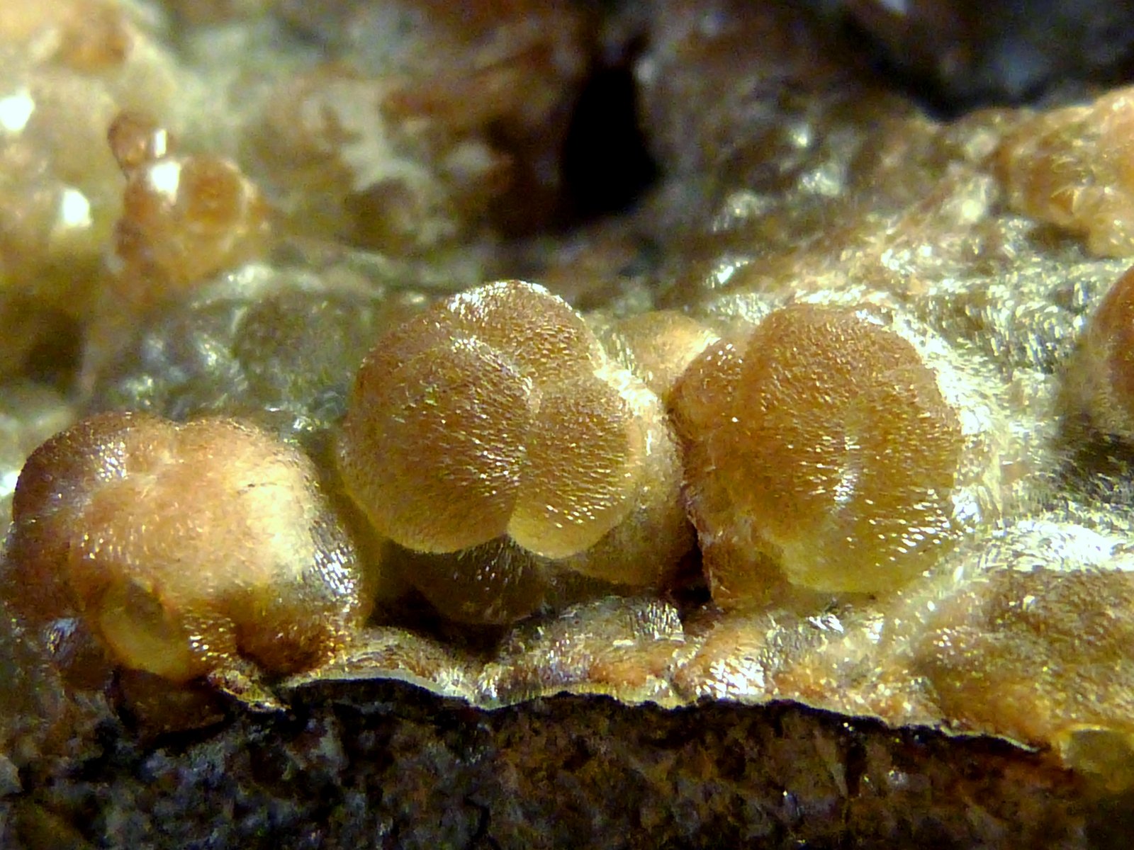 Smithsonita
7 x 6,5 x 10 cm.
(Autor: Felipe Abolafia)