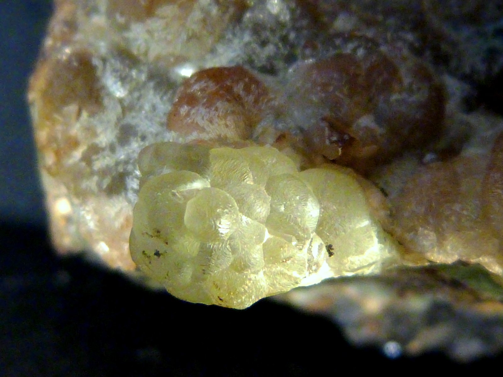 Smithsonita
7 x 6,5 x 10 cm.
(Autor: Felipe Abolafia)
