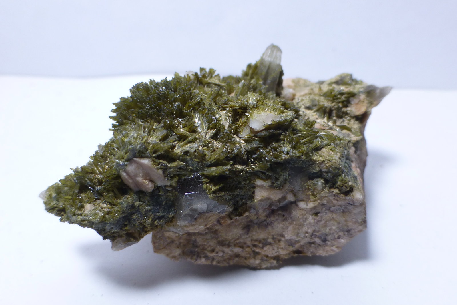 Clinozoisita y Cuarzo
4x3cm
(Autor: heat00)