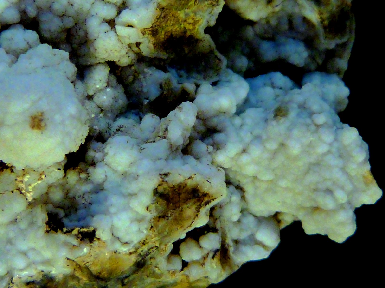 Cuarzo (variedad calcedonia)
5,5 x 4 x 4 cm.
(Autor: Felipe Abolafia)