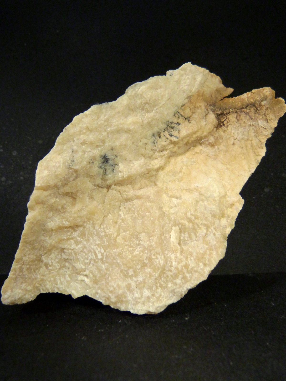 Sepiolita
7 x 12 x 4 cm.
(Autor: Felipe Abolafia)