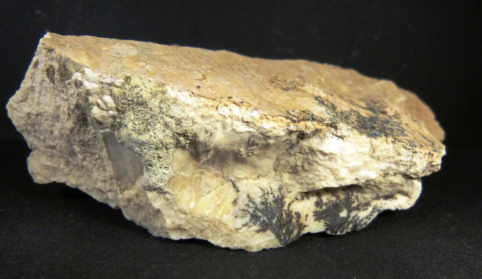 Sepiolita
7 x 12 x 4 cm.
(Autor: Felipe Abolafia)