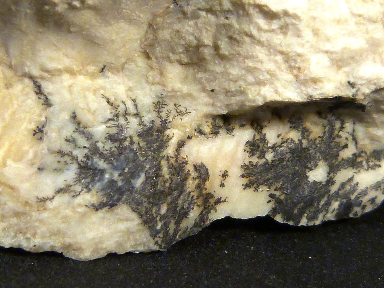 Sepiolita
7 x 12 x 4 cm.
(Autor: Felipe Abolafia)