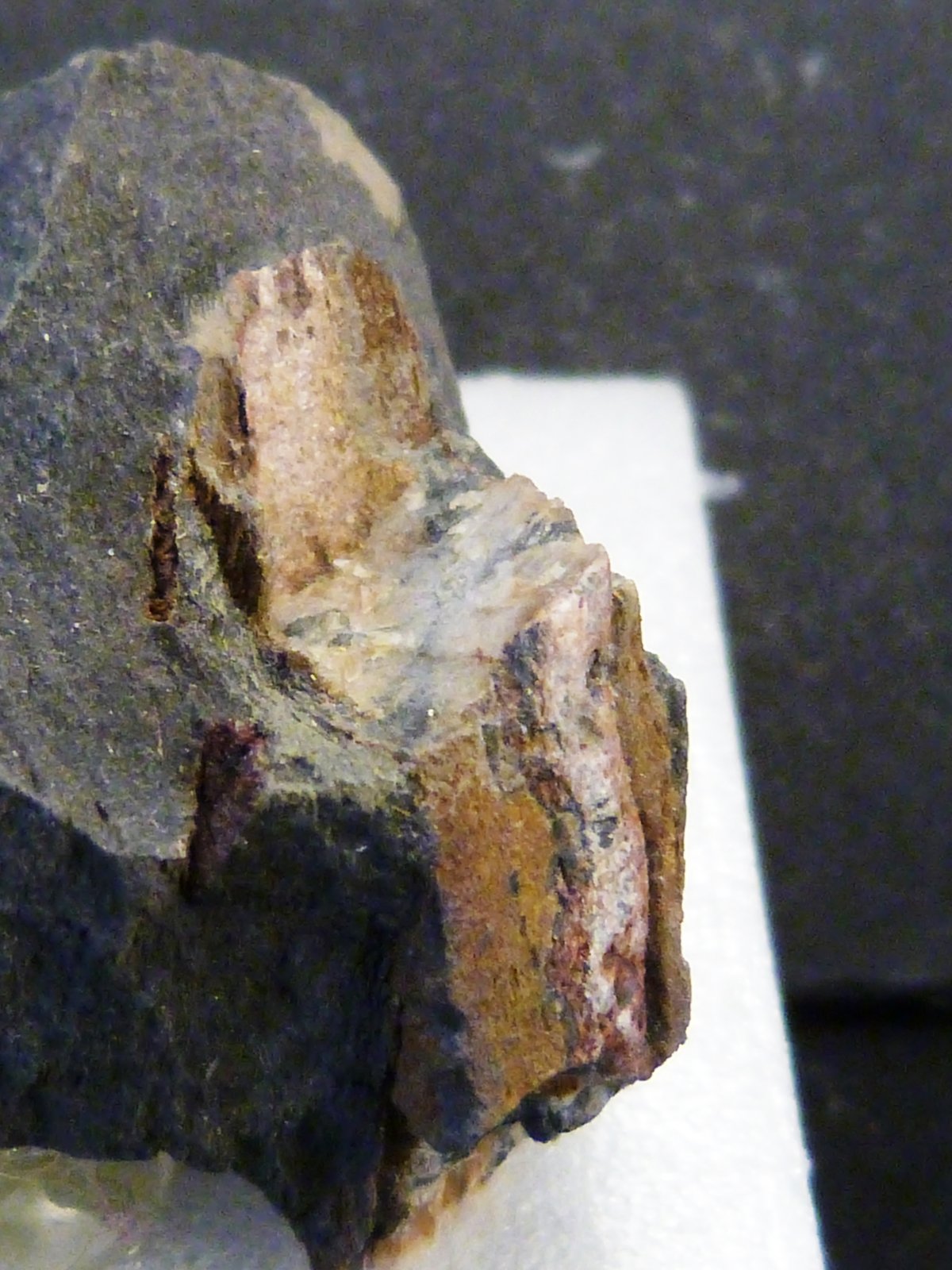 Andalucita (variedad quiastolita)
3 x 2 x 3 cm.
(Autor: Felipe Abolafia)