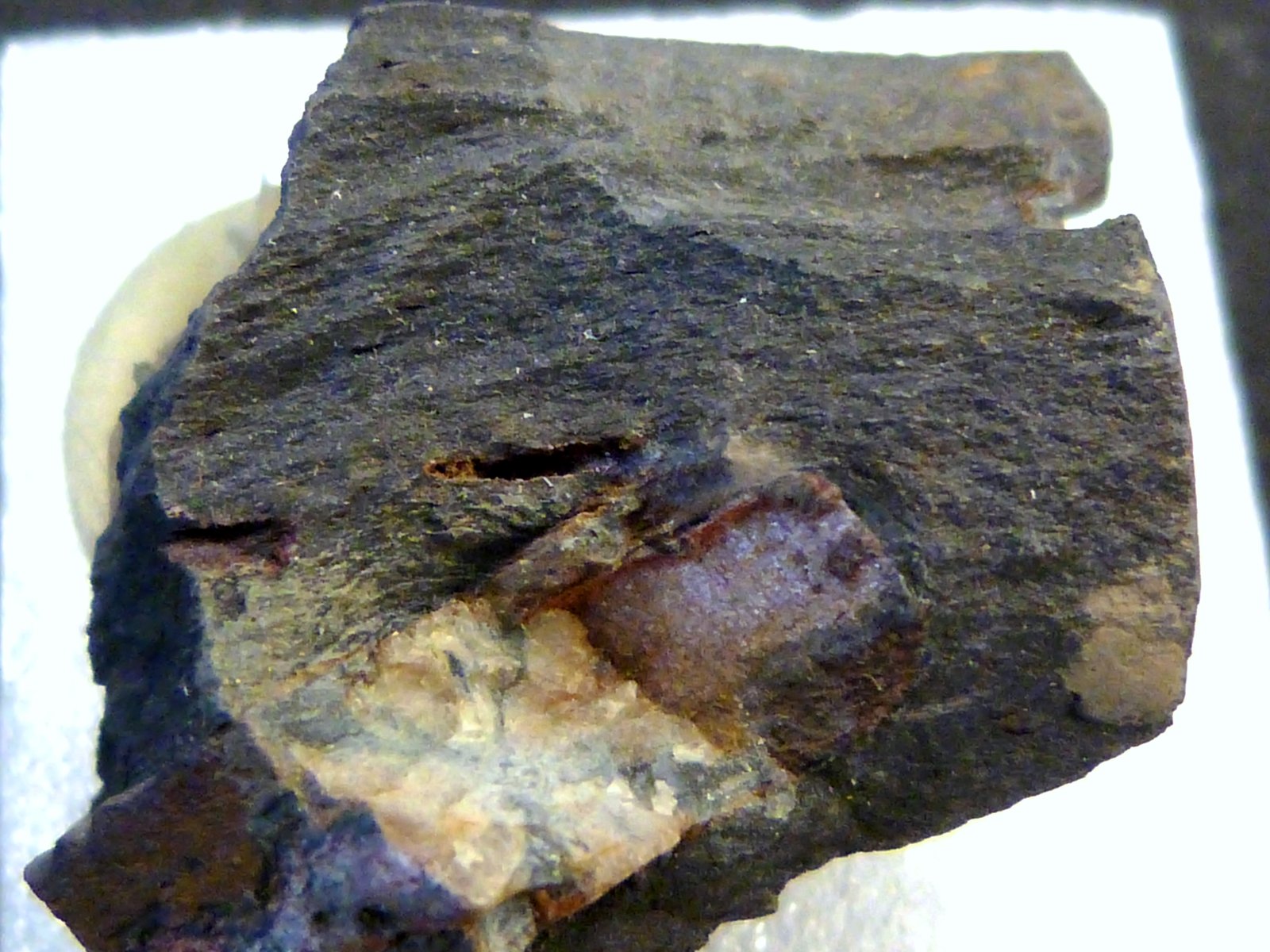 Andalucita (variedad quiastolita)
3 x 2 x 3 cm.
(Autor: Felipe Abolafia)