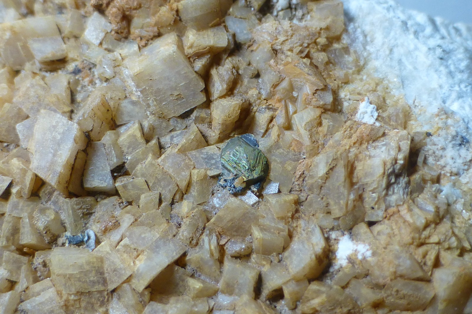 Dolomita y Pirita
Encuadre 3x2cm aprox.
(Autor: heat00)