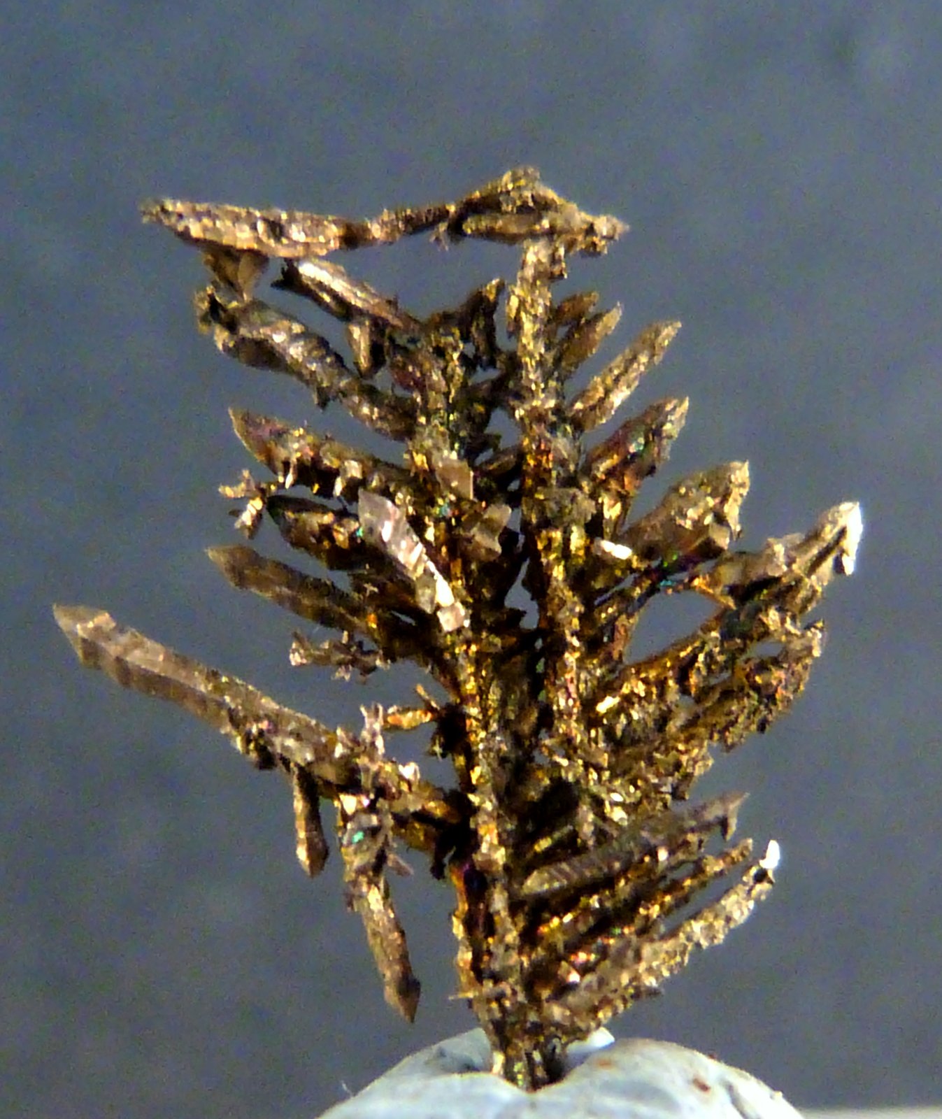 Plata
10 x 15 x 2 mm.
(Autor: Felipe Abolafia)