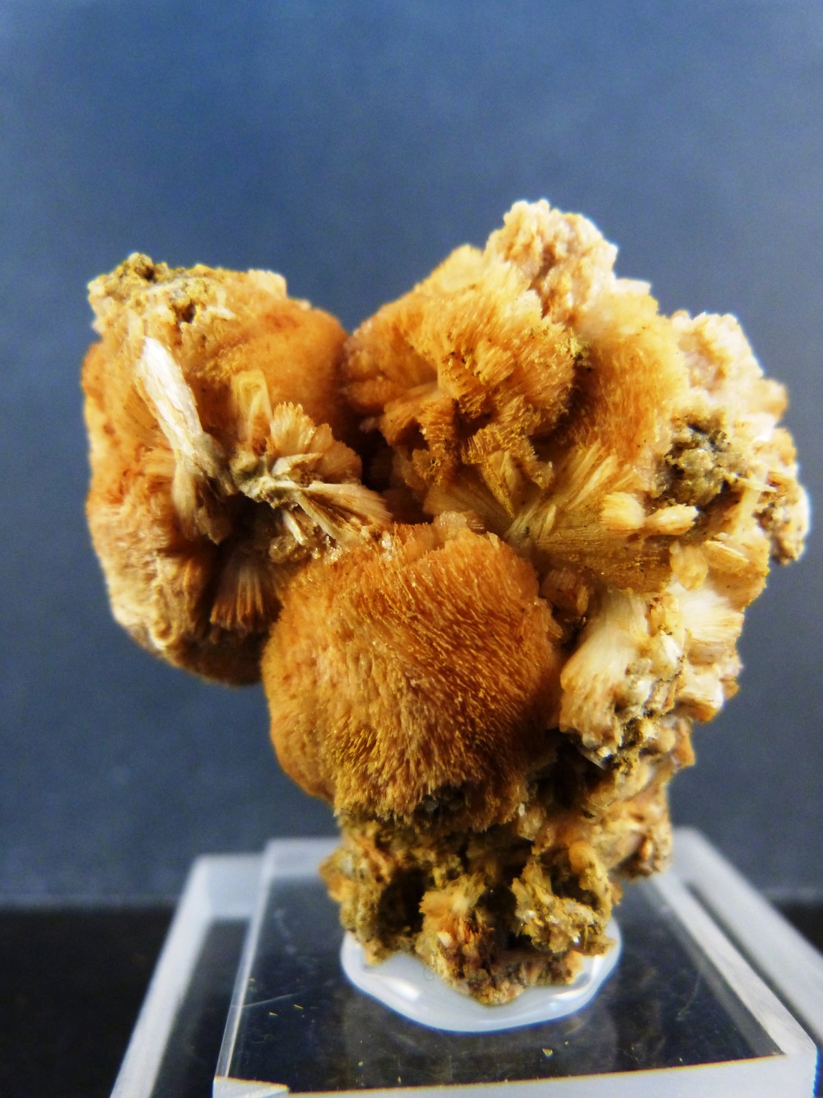 Prehnita
4,5 x 4,5 x 3 cm.
(Autor: Felipe Abolafia)