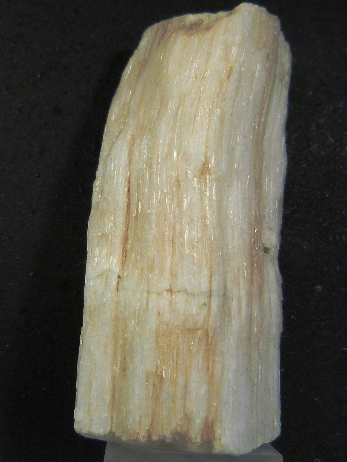Yeso fibroso
4 x 7,5 x 3 cm.
(Autor: Felipe Abolafia)