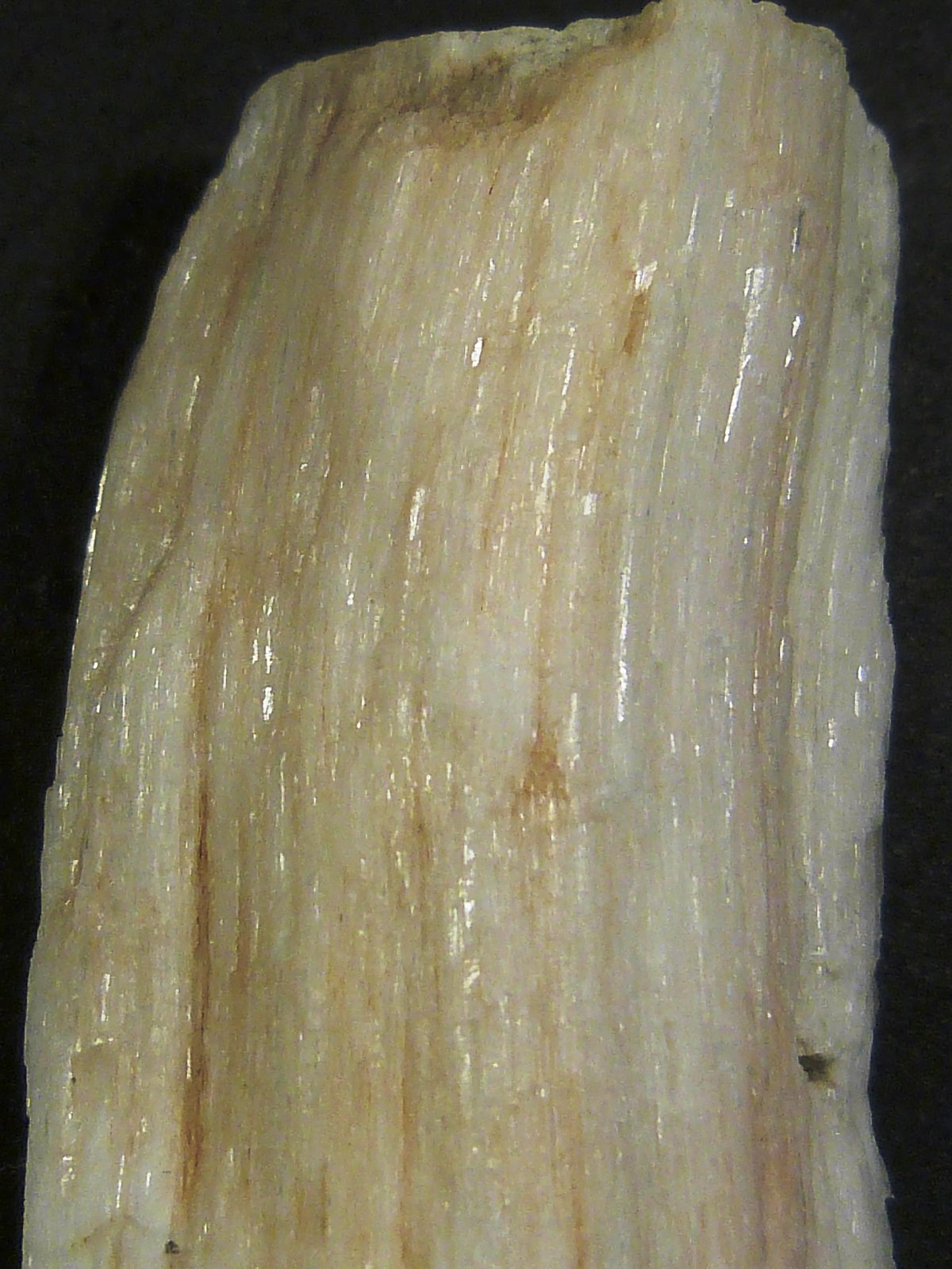 Yeso fibroso
4 x 7,5 x 3 cm.
(Autor: Felipe Abolafia)
