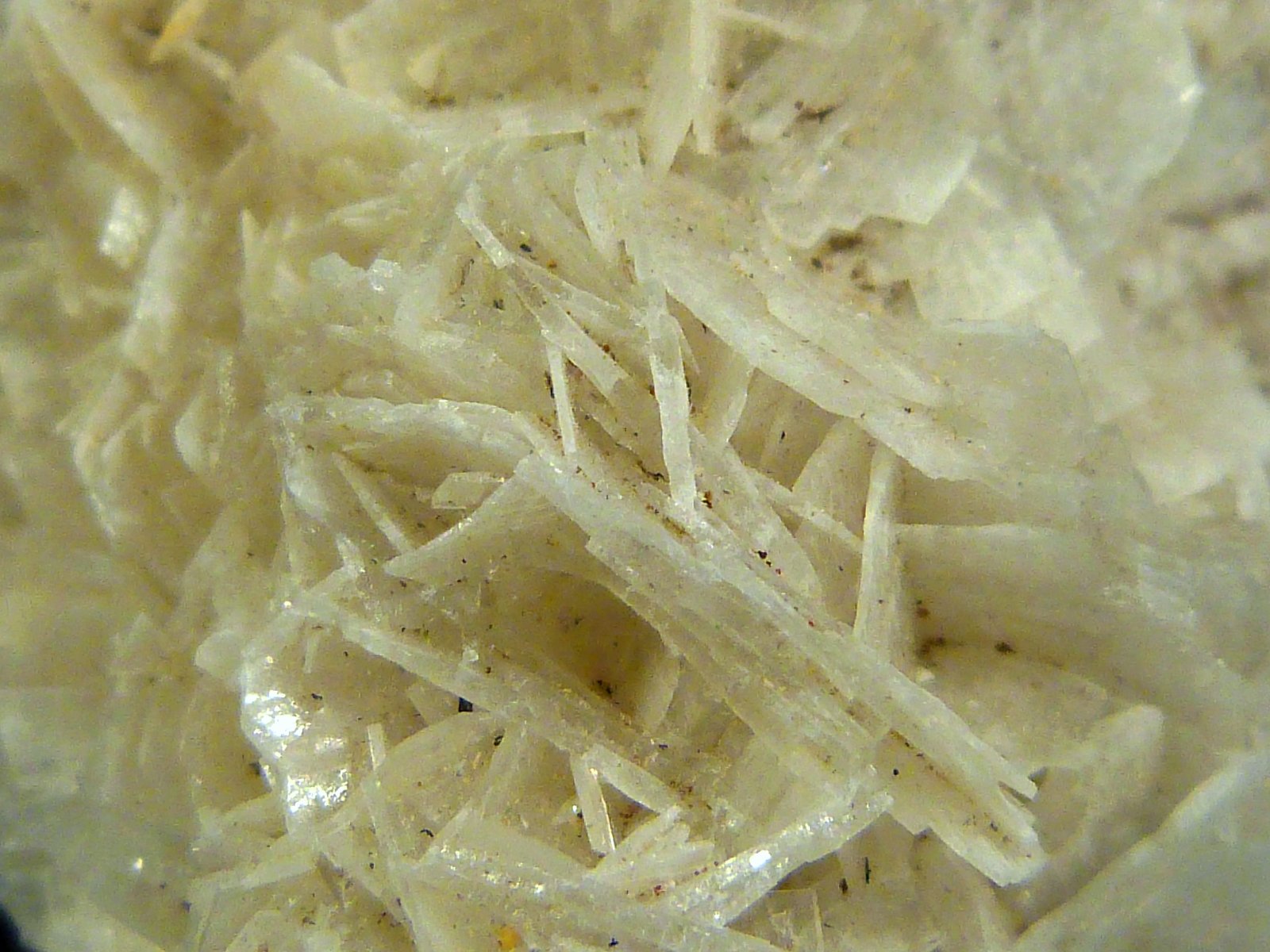 Baritina
5 x 6 x 4 cm.
(Autor: Felipe Abolafia)