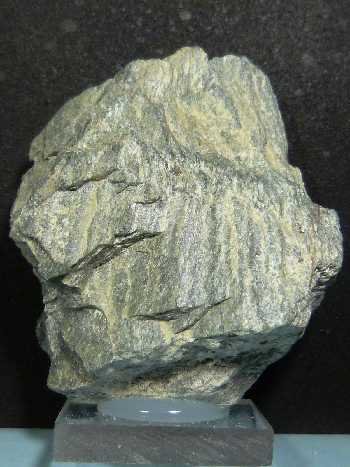 Serpentina
5 x 5,5 x 1,5 cm.
(Autor: Felipe Abolafia)