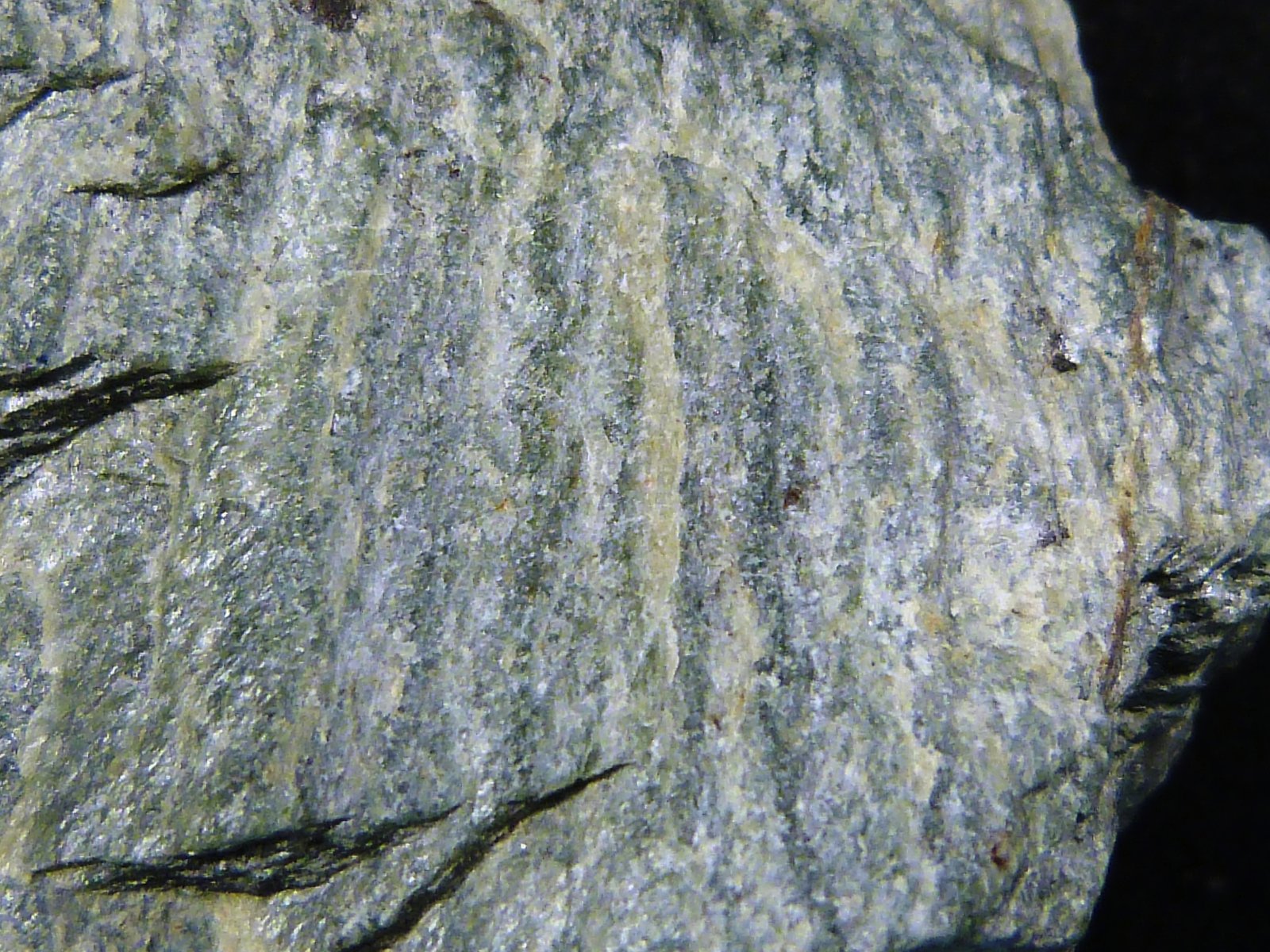 Serpentina
5 x 5,5 x 1,5 cm.
(Autor: Felipe Abolafia)