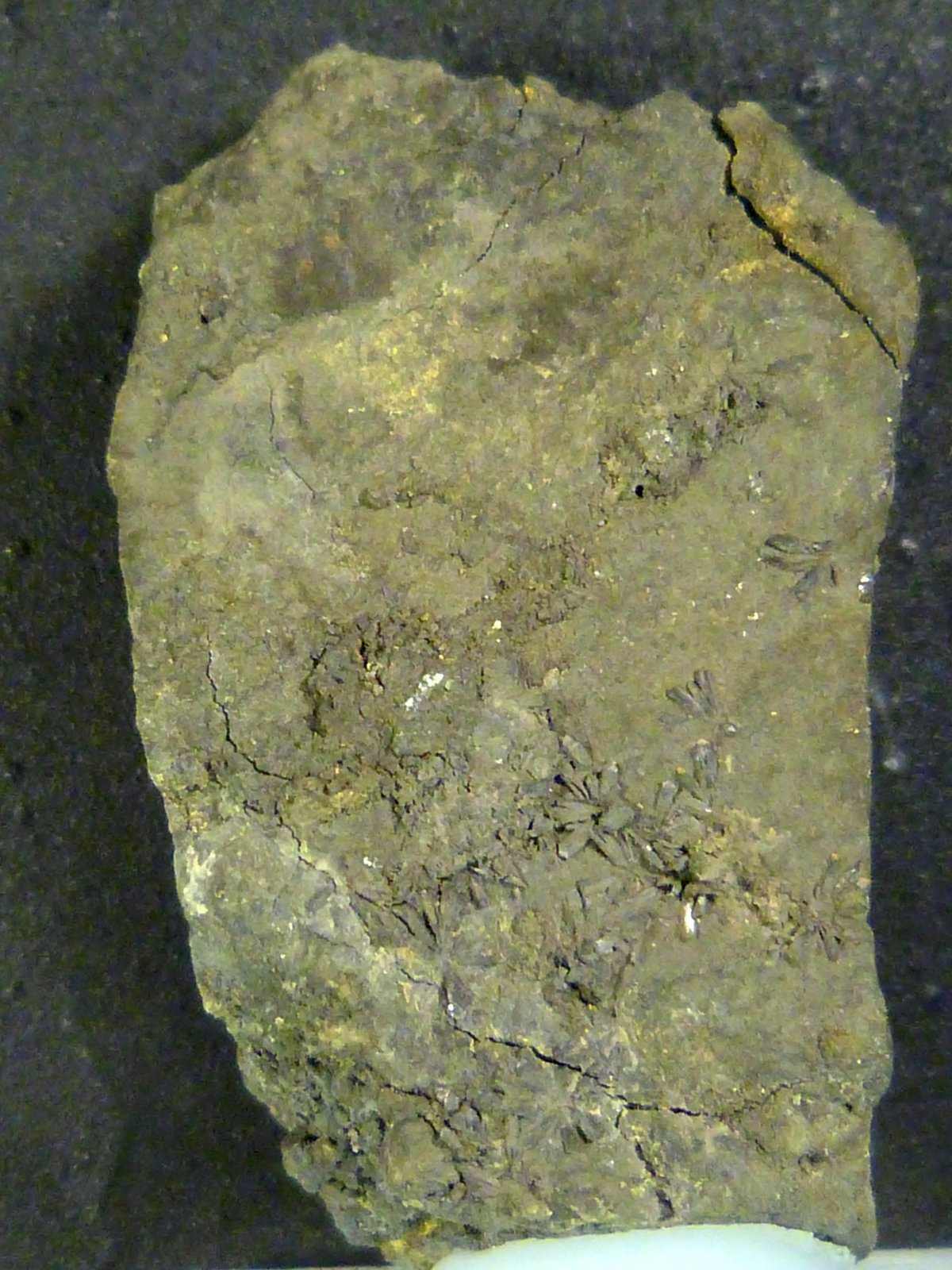Gratonita
2,5 x 5 x 2 cm.
(Autor: Felipe Abolafia)