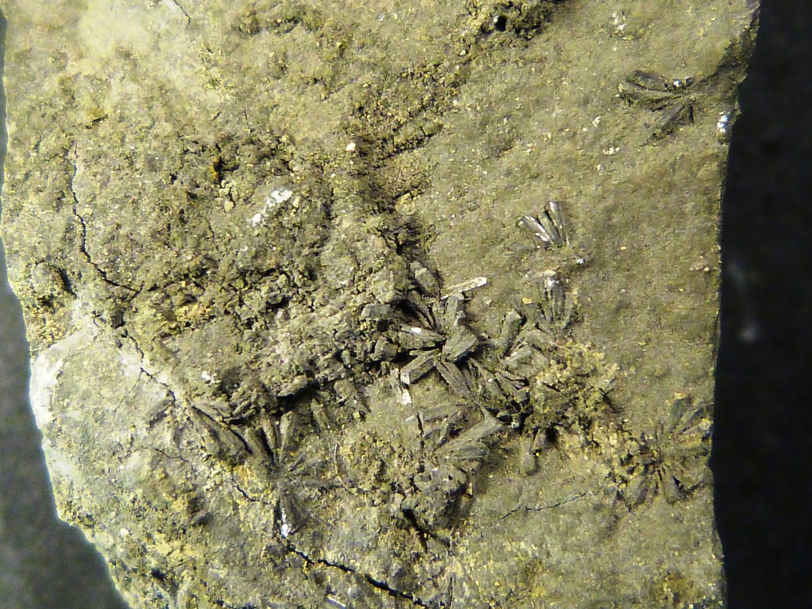 Gratonita
2,5 x 5 x 2 cm.
(Autor: Felipe Abolafia)
