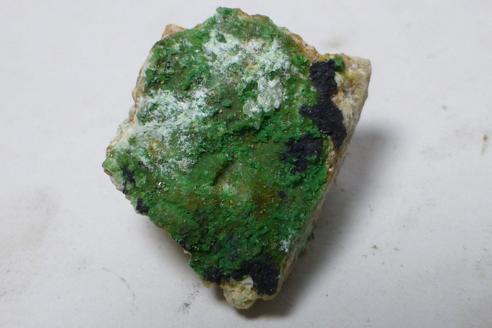 Duftita
Encuadre 3x2cm aprox.
(Autor: heat00)