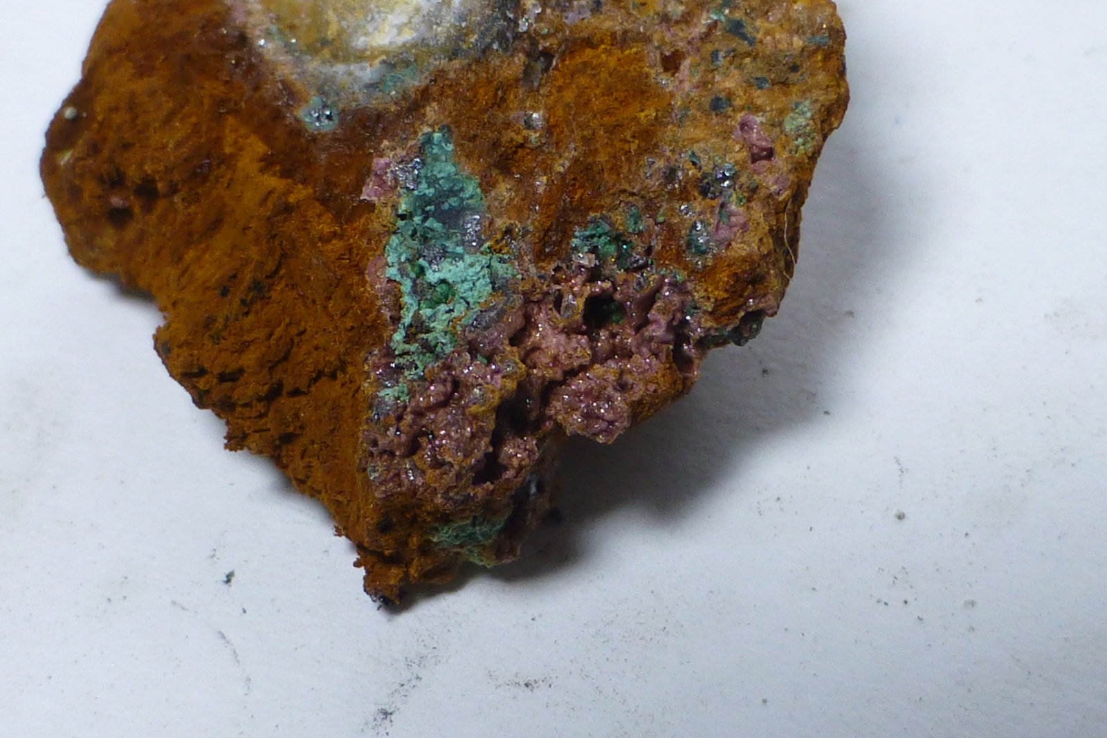 Eritrina
Encuadre 3x2cm aprox.
(Autor: heat00)