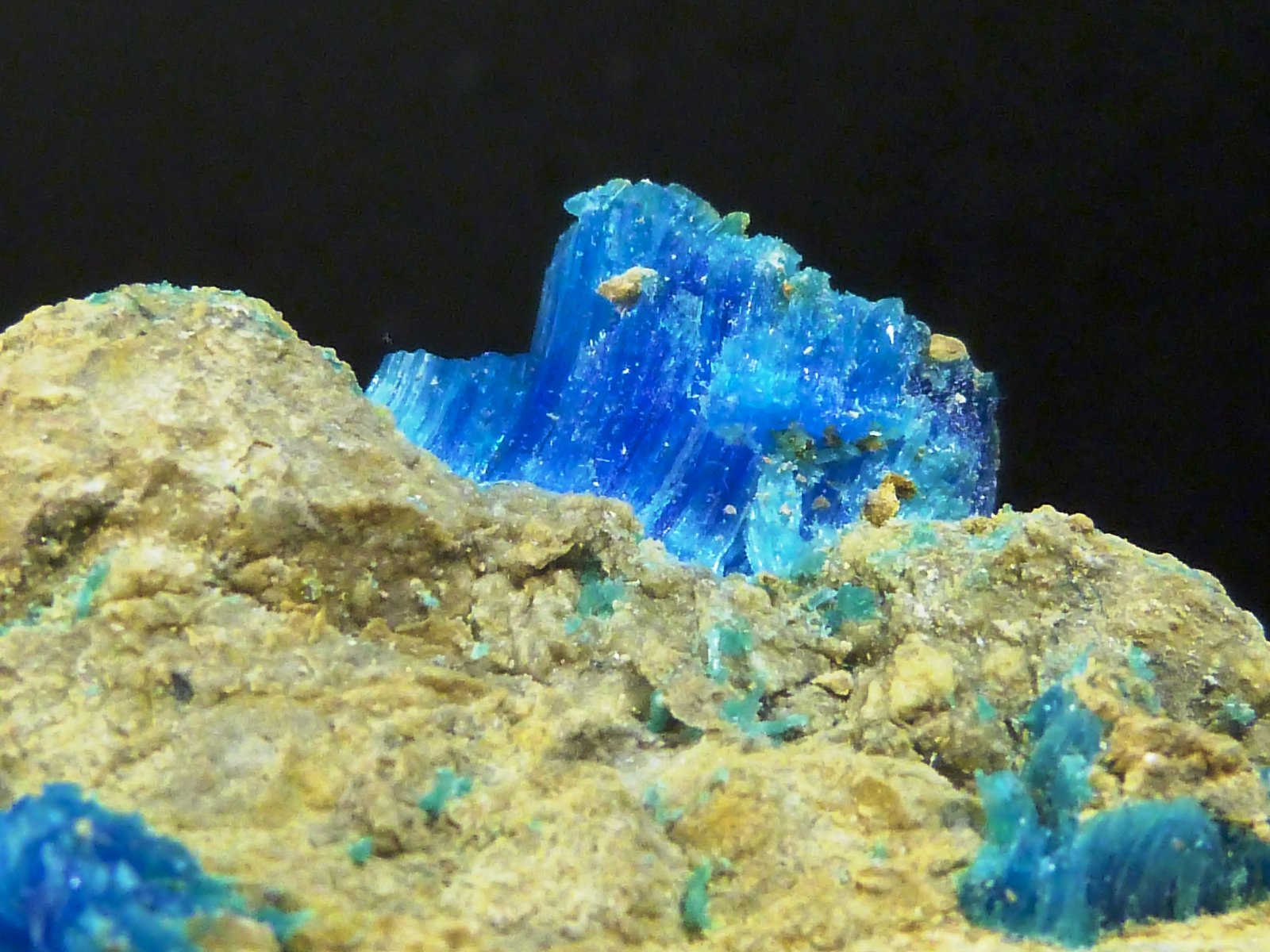 Calcantita
7 x 4 x 2,5 cm.
(Autor: Felipe Abolafia)