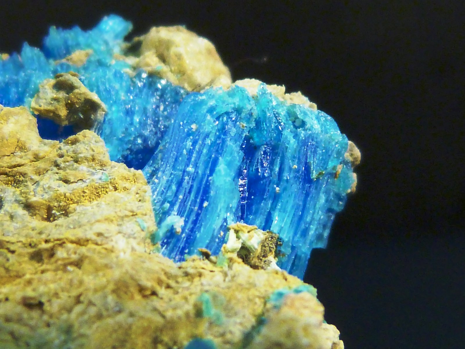 Calcantita
7 x 4 x 2,5 cm.
(Autor: Felipe Abolafia)
