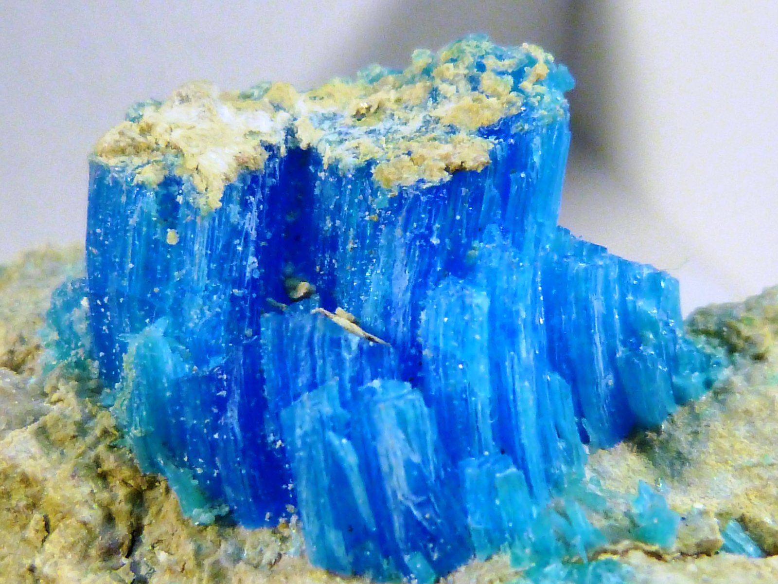 Calcantita
7 x 4 x 2,5 cm.
(Autor: Felipe Abolafia)