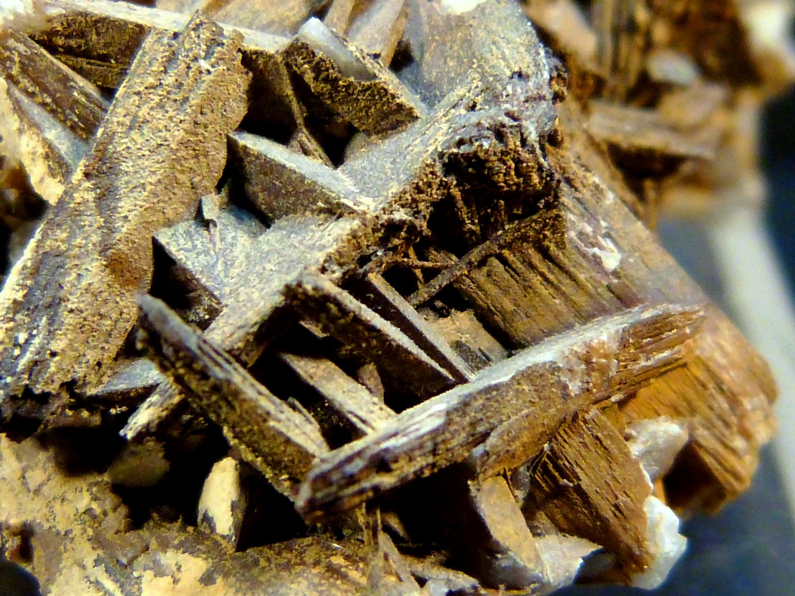 Celestina
4 x 4 x 5 cm.
(Autor: Felipe Abolafia)