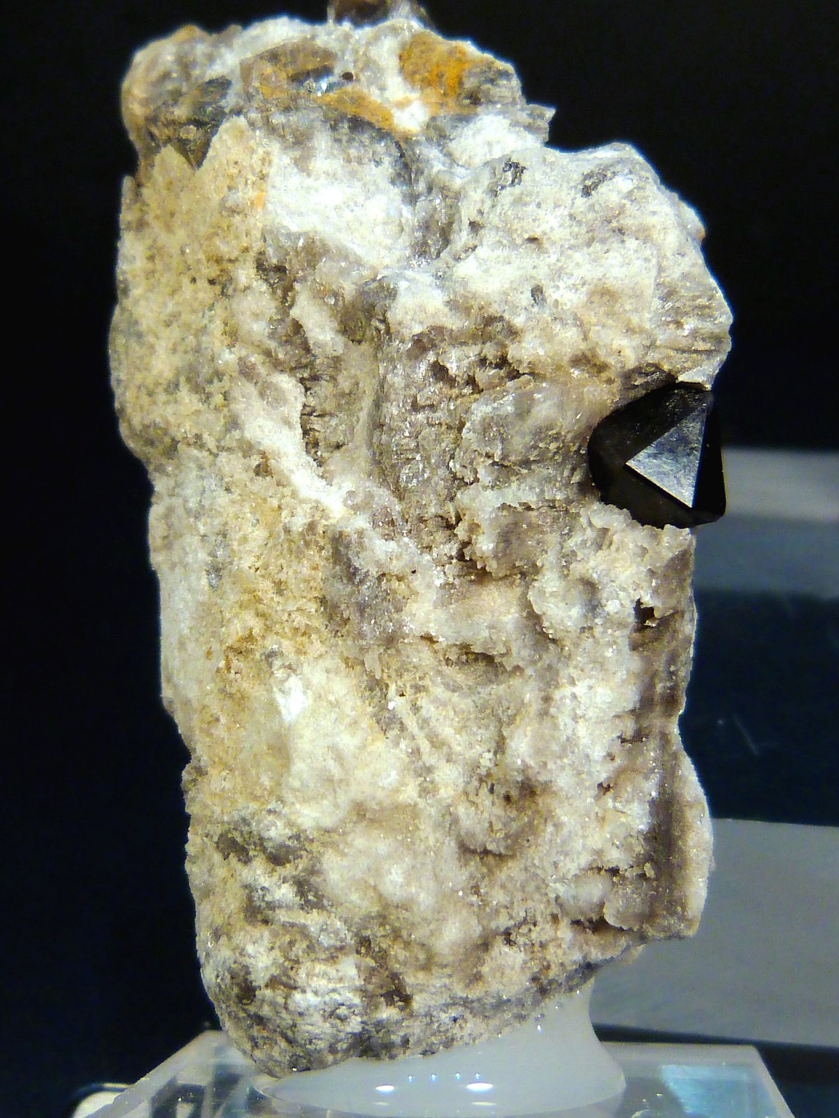 Cuarzo (variedad morión)
2,5 x 5,5 x 2 cm.
(Autor: Felipe Abolafia)
