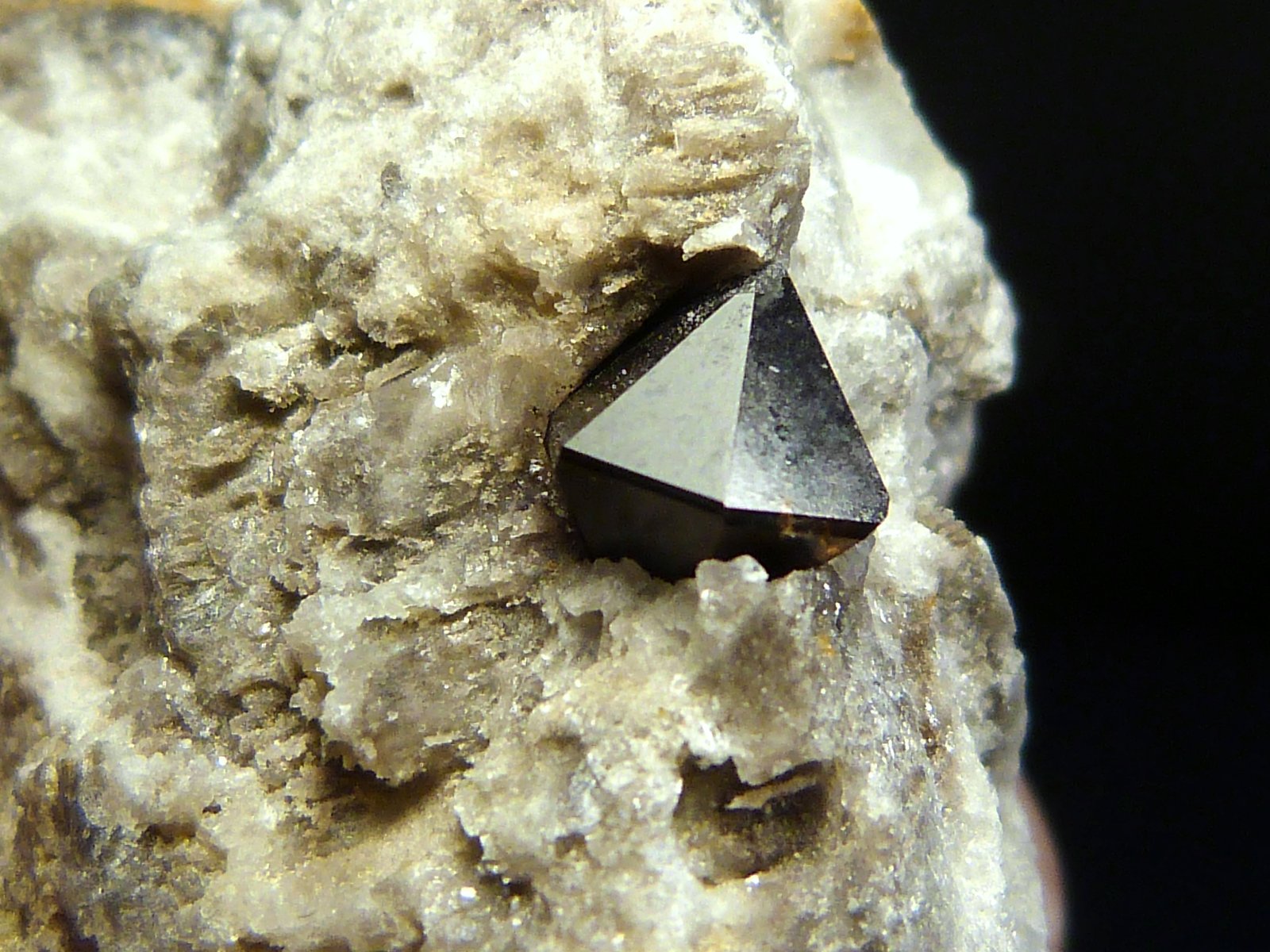 Cuarzo (variedad morión)
2,5 x 5,5 x 2 cm.
(Autor: Felipe Abolafia)