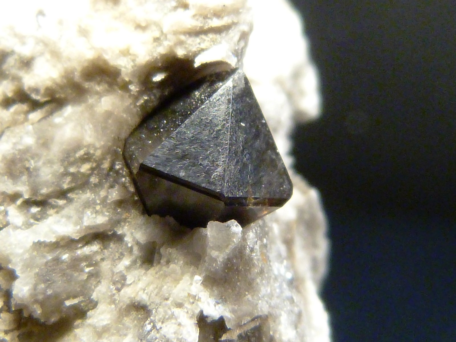 Cuarzo (variedad morión)
2,5 x 5,5 x 2 cm.
(Autor: Felipe Abolafia)