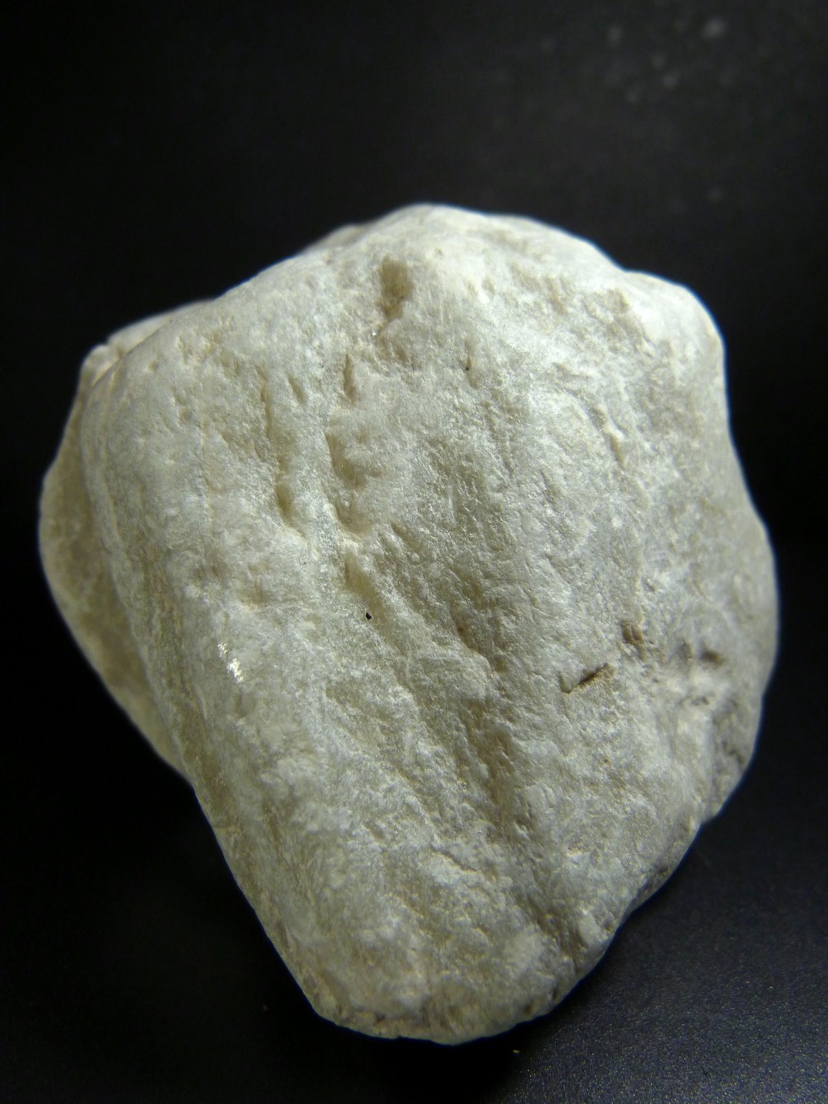 Talco
7 x 7 x 5 cm.
(Autor: Felipe Abolafia)
