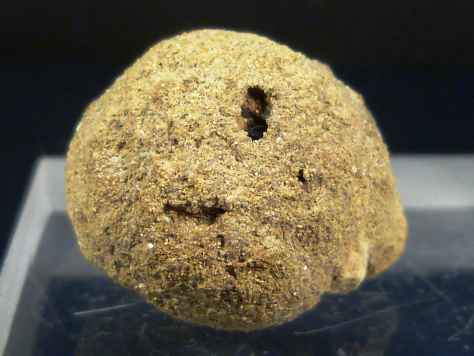 Pirita
2,5 cm. de diámetro
(Autor: Felipe Abolafia)