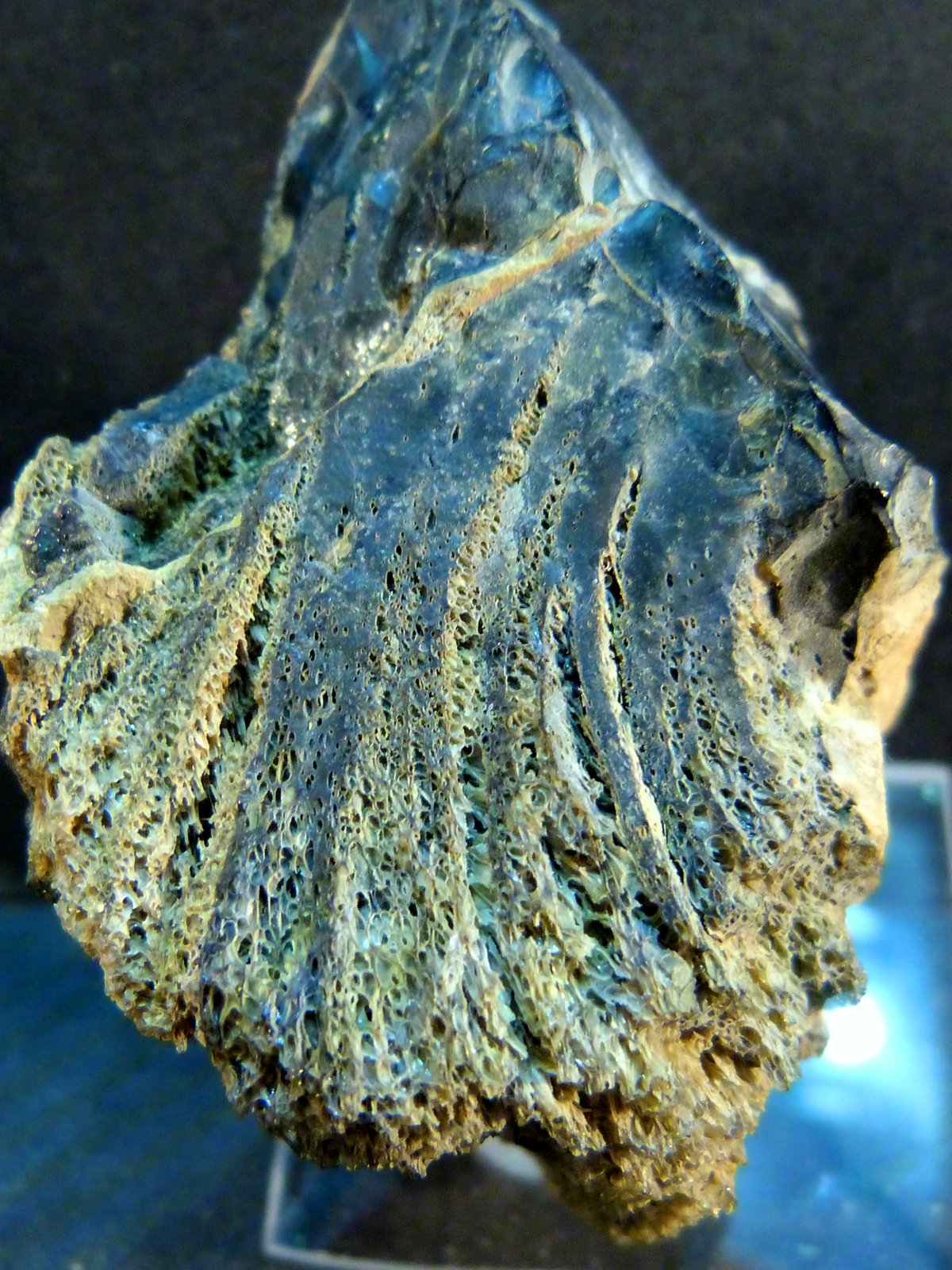 Obsidiana
5 x 6 x 4 cm.
(Autor: Felipe Abolafia)