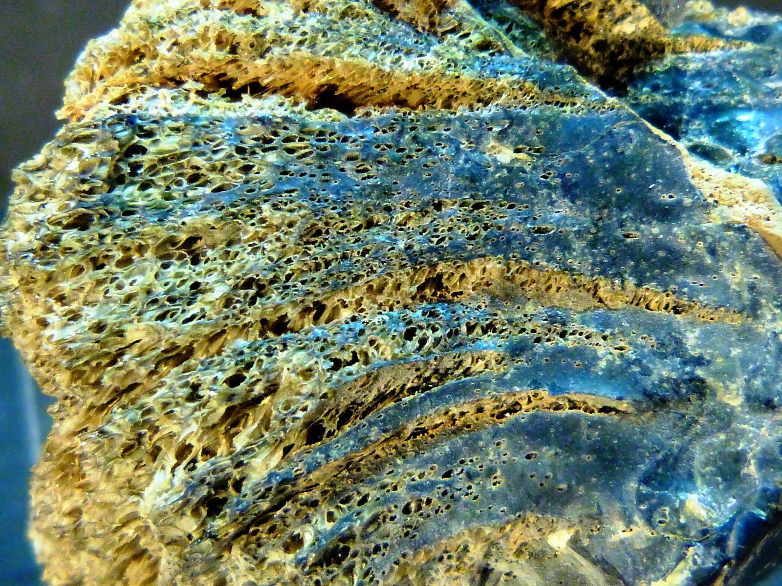 Obsidiana
5 x 6 x 4 cm.
(Autor: Felipe Abolafia)