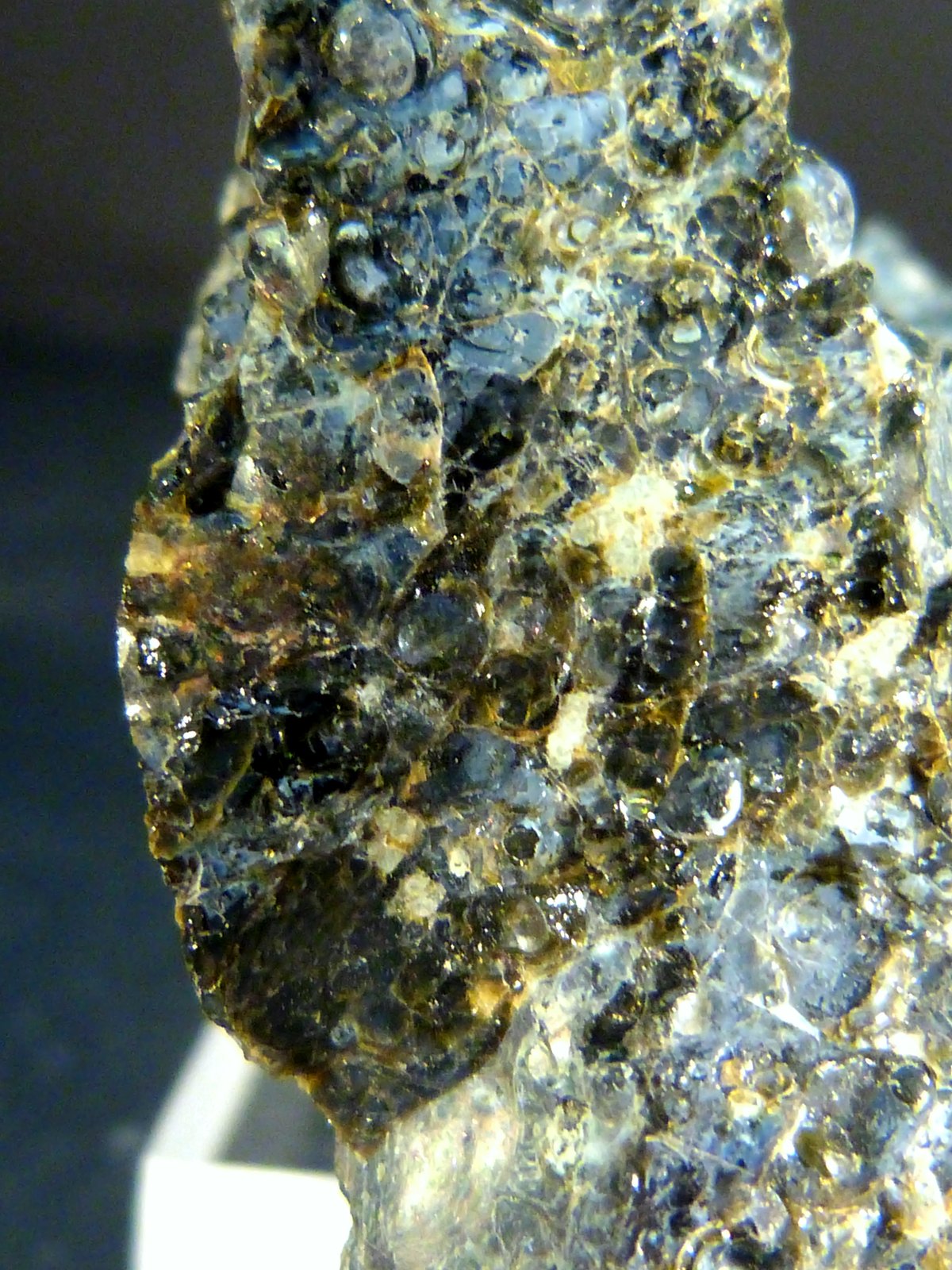 Obsidiana
3,5 x 4,5 x 2,5 cm.
(Autor: Felipe Abolafia)