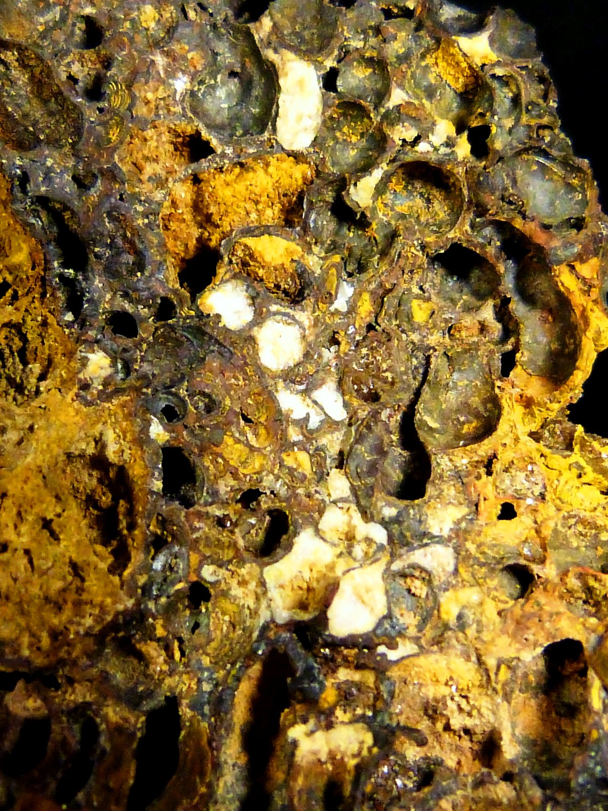 Goethita
4 x 8,5 x 4 cm.
(Autor: Felipe Abolafia)