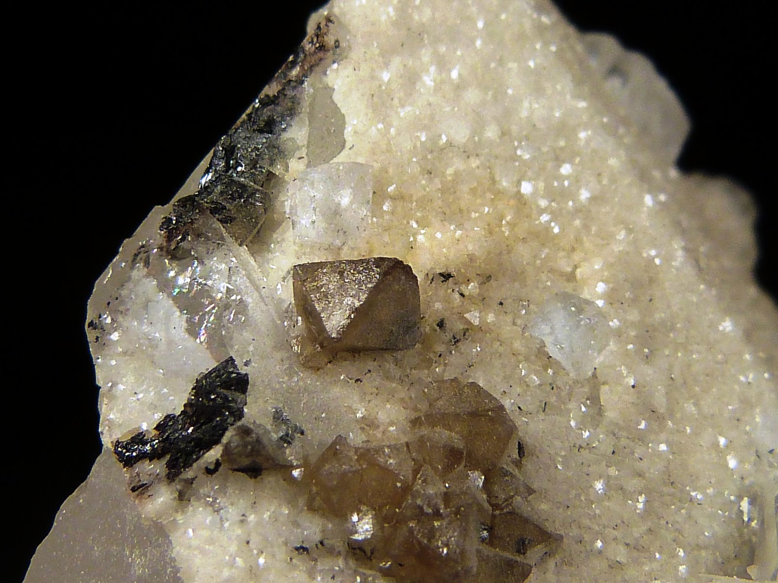 Scheelita, Cuarzo y Ferberita
4,5 x 5,5 x 2 cm.
(Autor: Felipe Abolafia)