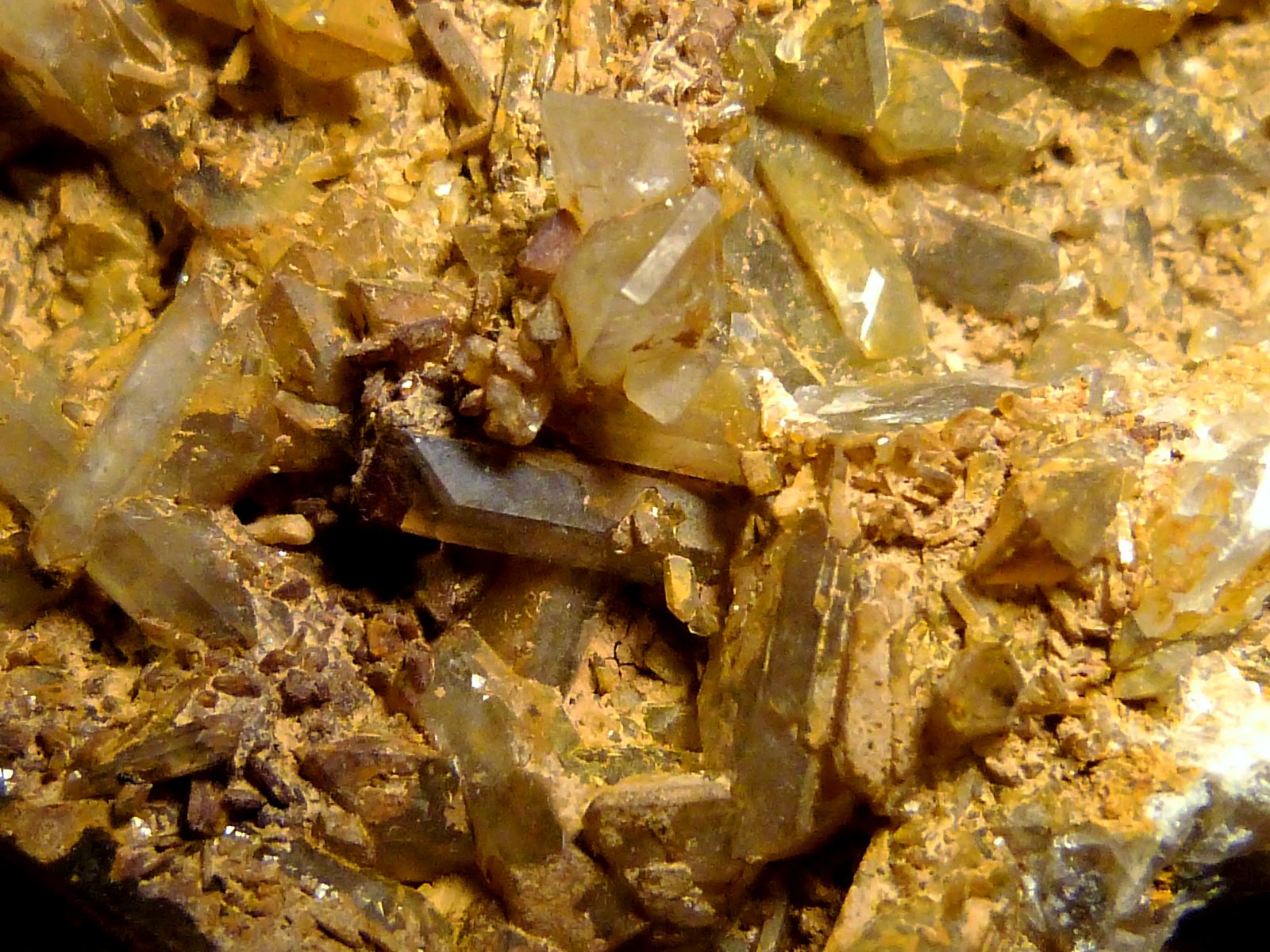 Celestina
11 x 8 x 3,5 cm.
(Autor: Felipe Abolafia)