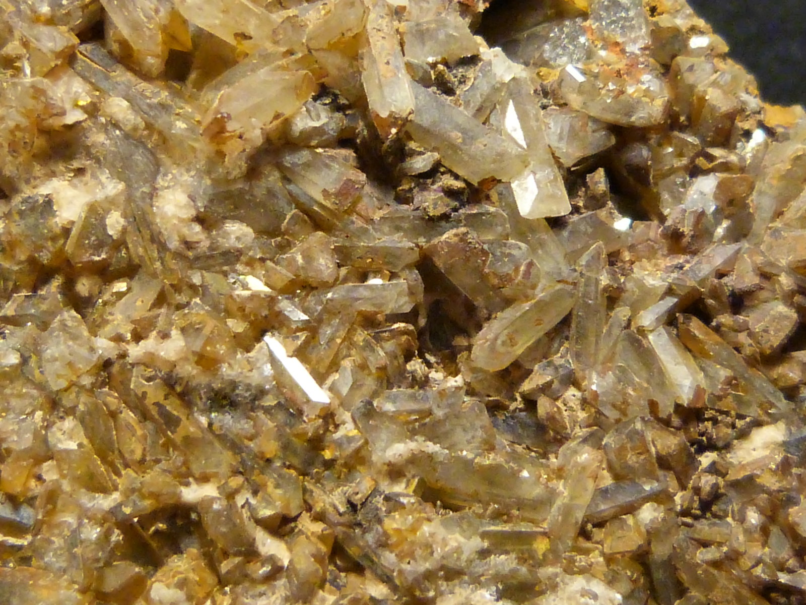 Celestina
11 x 8 x 3,5 cm.
(Autor: Felipe Abolafia)